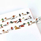 British Ducks Washi Tape - Sarah Frances 
