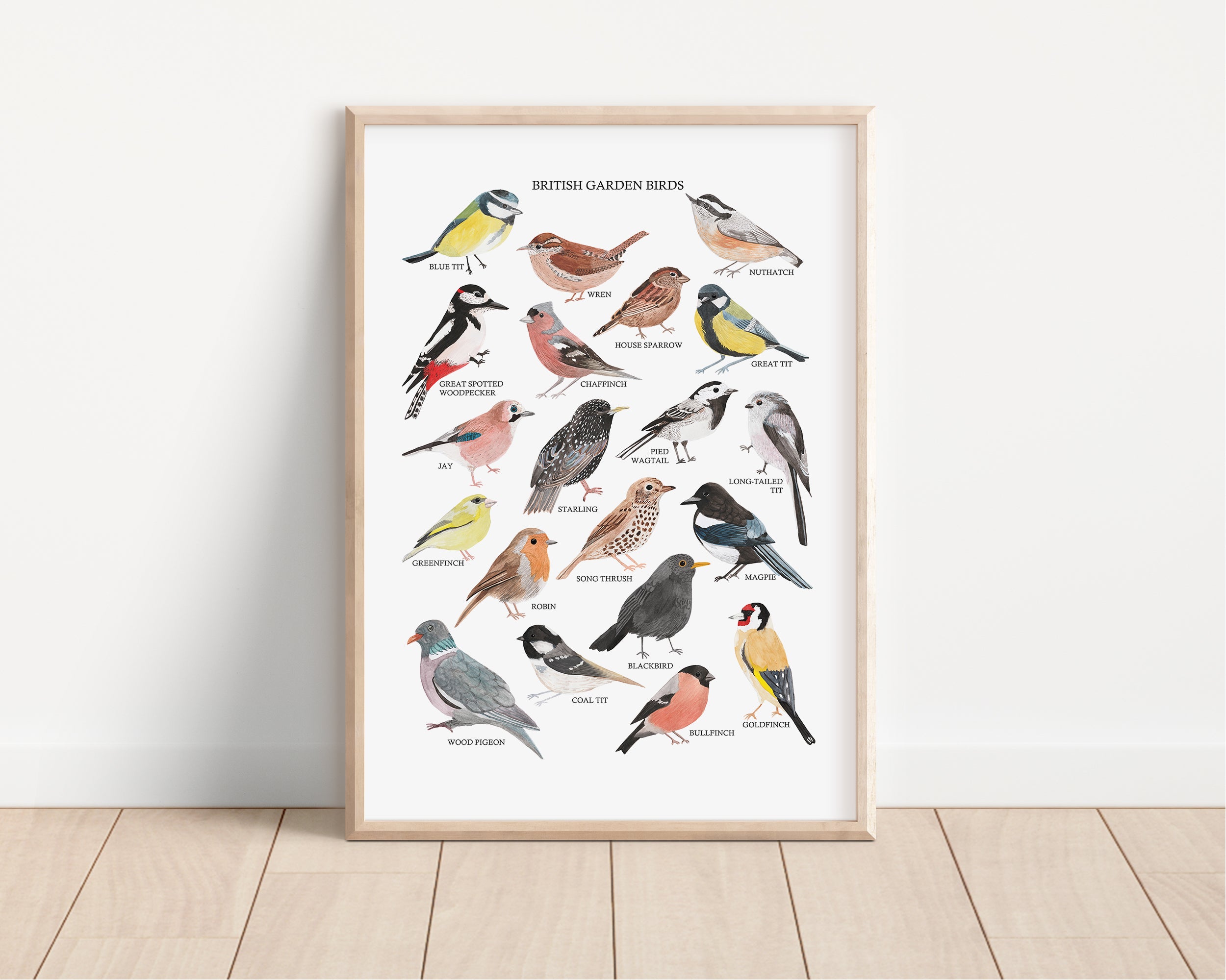 British Garden Birds Art Print - Sarah Frances 
