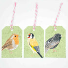 British Garden Birds Gift Tags - Sarah Frances 