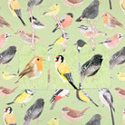 British Garden Birds Gift Tags - Sarah Frances 