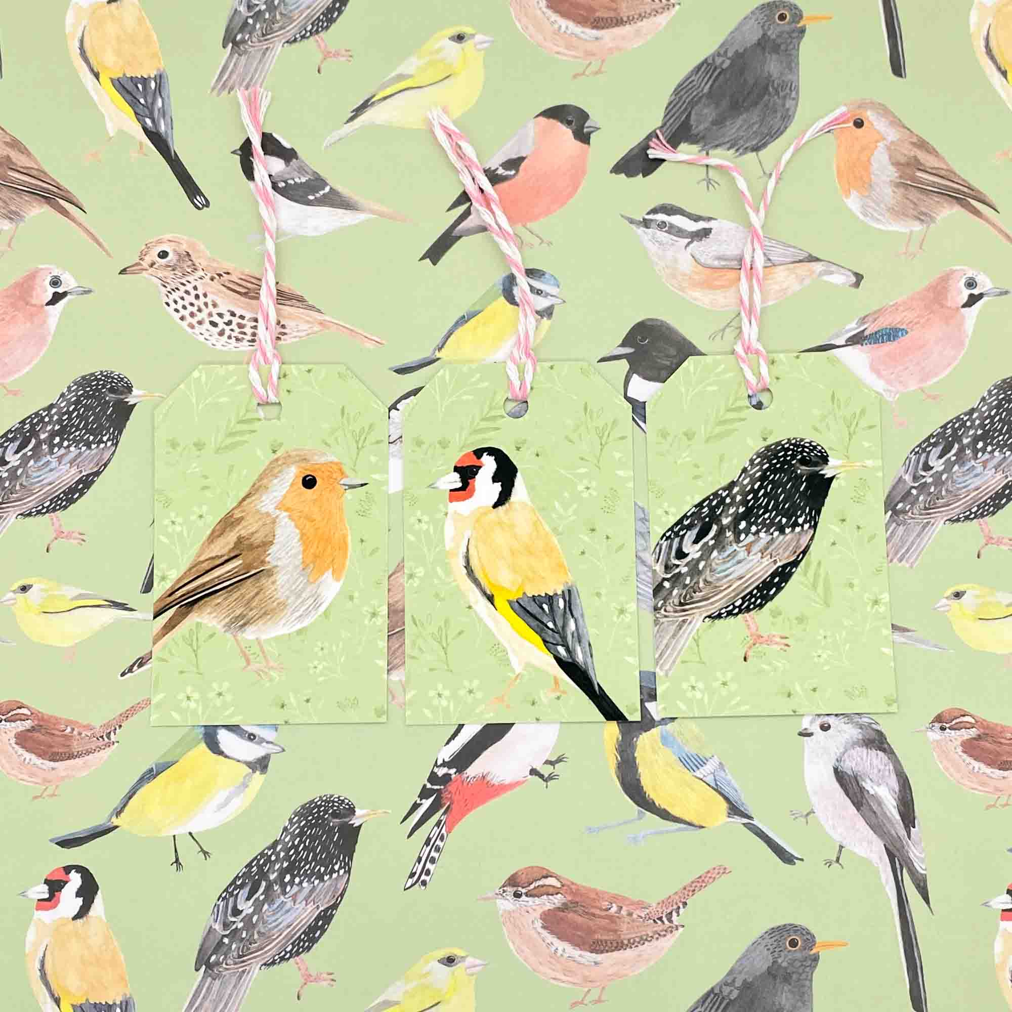 British Garden Birds Gift Tags - Sarah Frances 