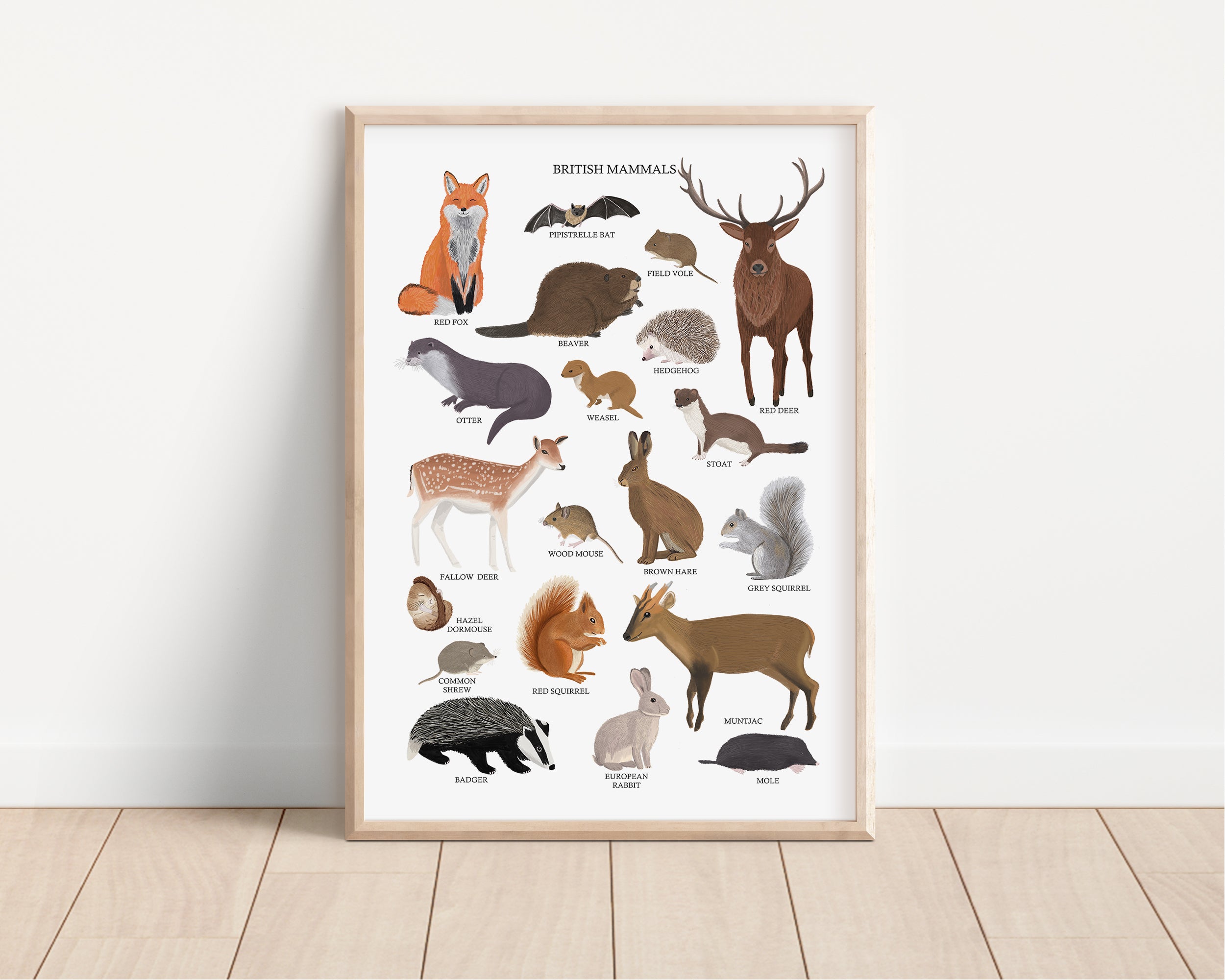 British Mammals Art Print - Sarah Frances 