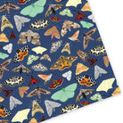 British Moths Wrapping Paper - Sarah Frances 