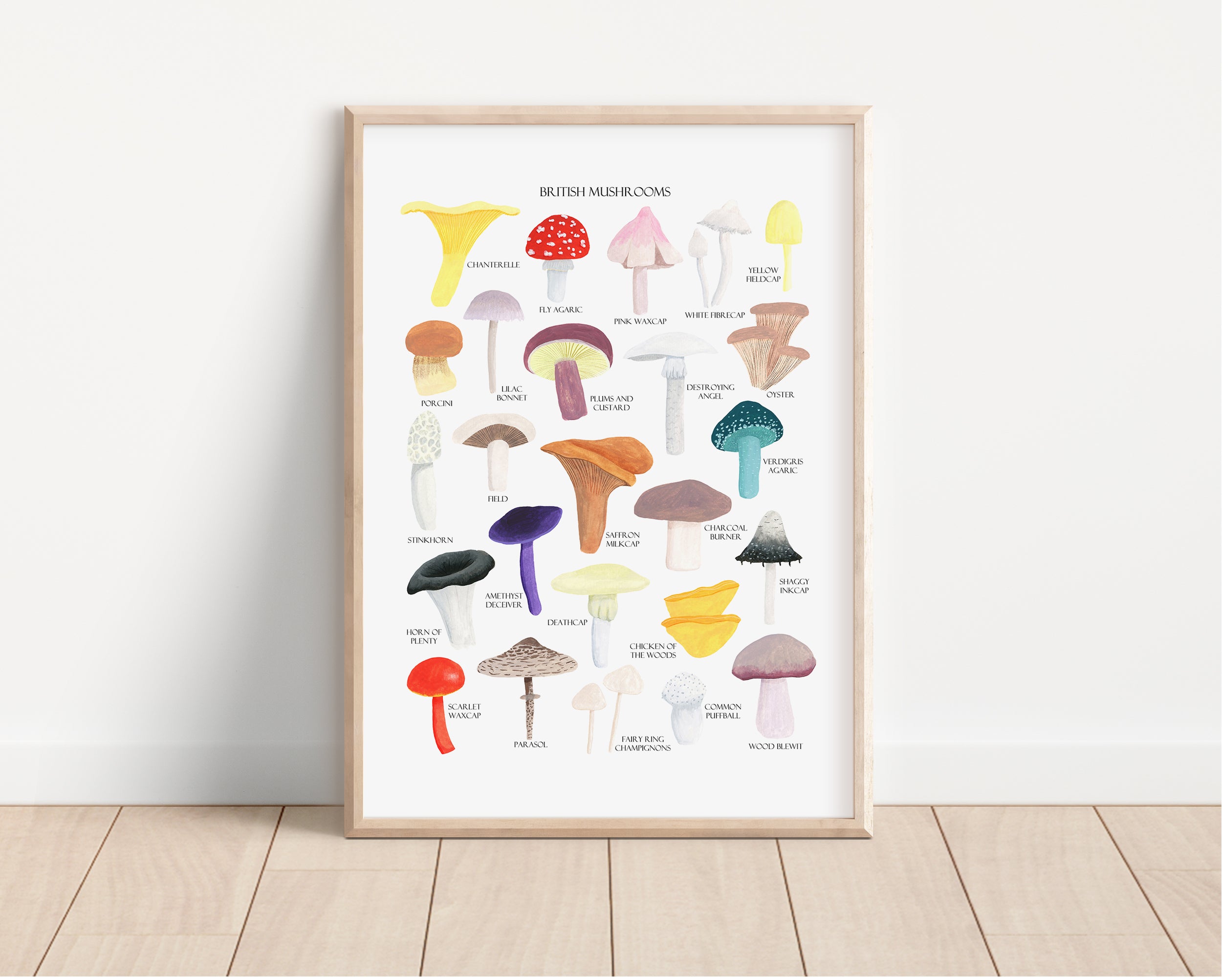 British Mushrooms Art Print - Sarah Frances 