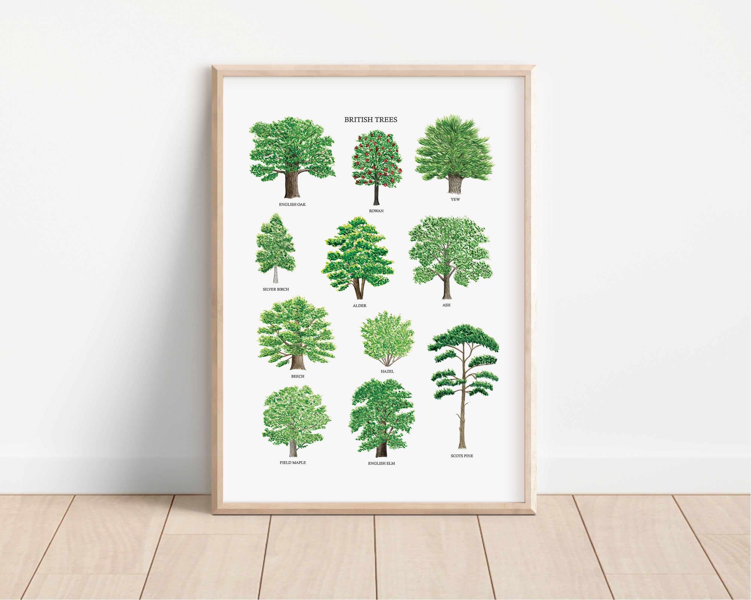 British Trees Art Print - Sarah Frances 