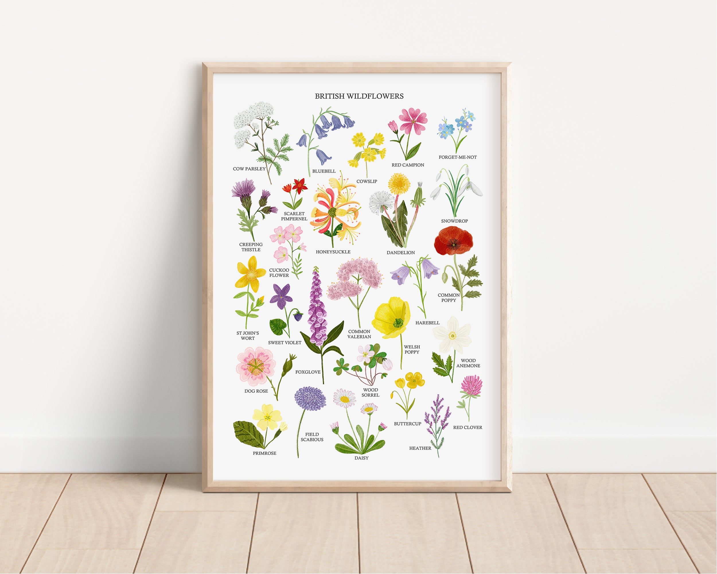 British Wildflowers Art Print - Sarah Frances 
