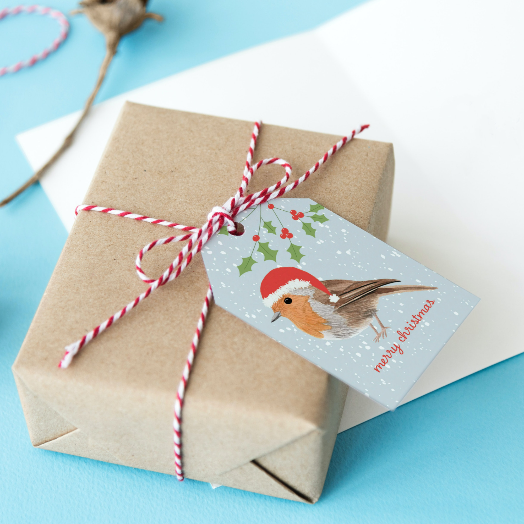 Christmas Birds Gift Tags - Pack of 3 - Sarah Frances 