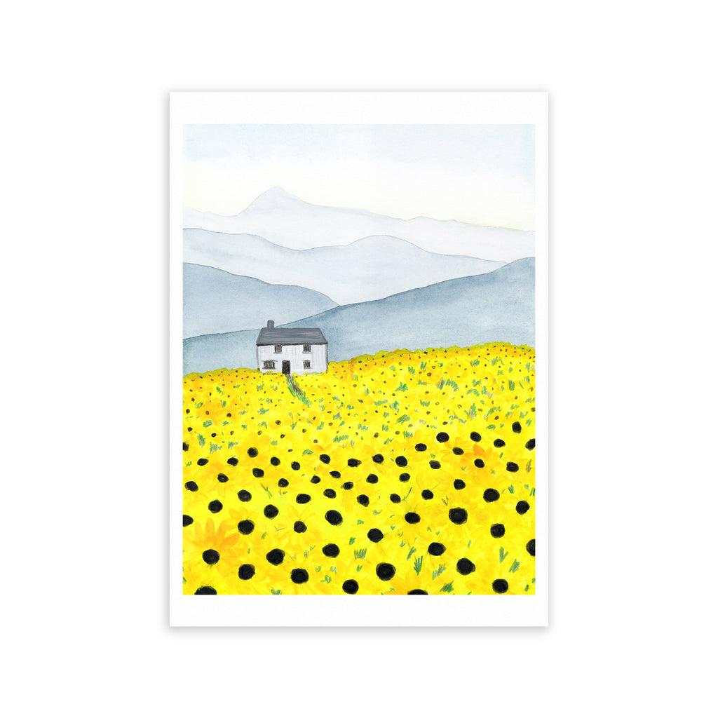 Field of Sunflowers Fine Art Print - Sarah Frances 