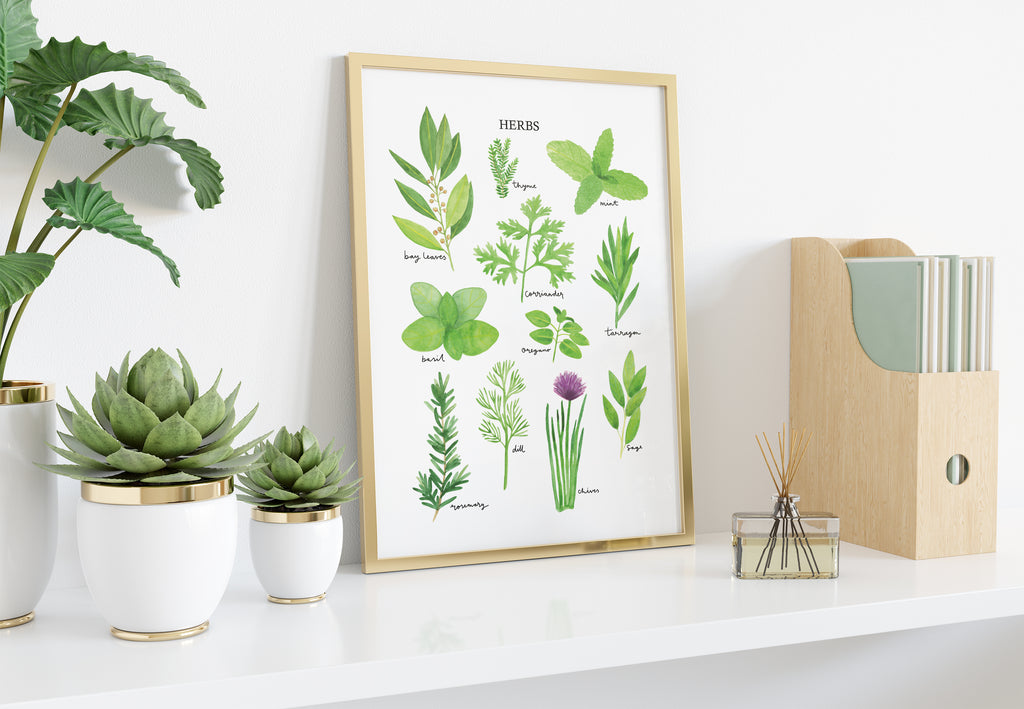 Herbs Art Print - Sarah Frances 
