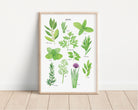 Herbs Art Print - Sarah Frances 
