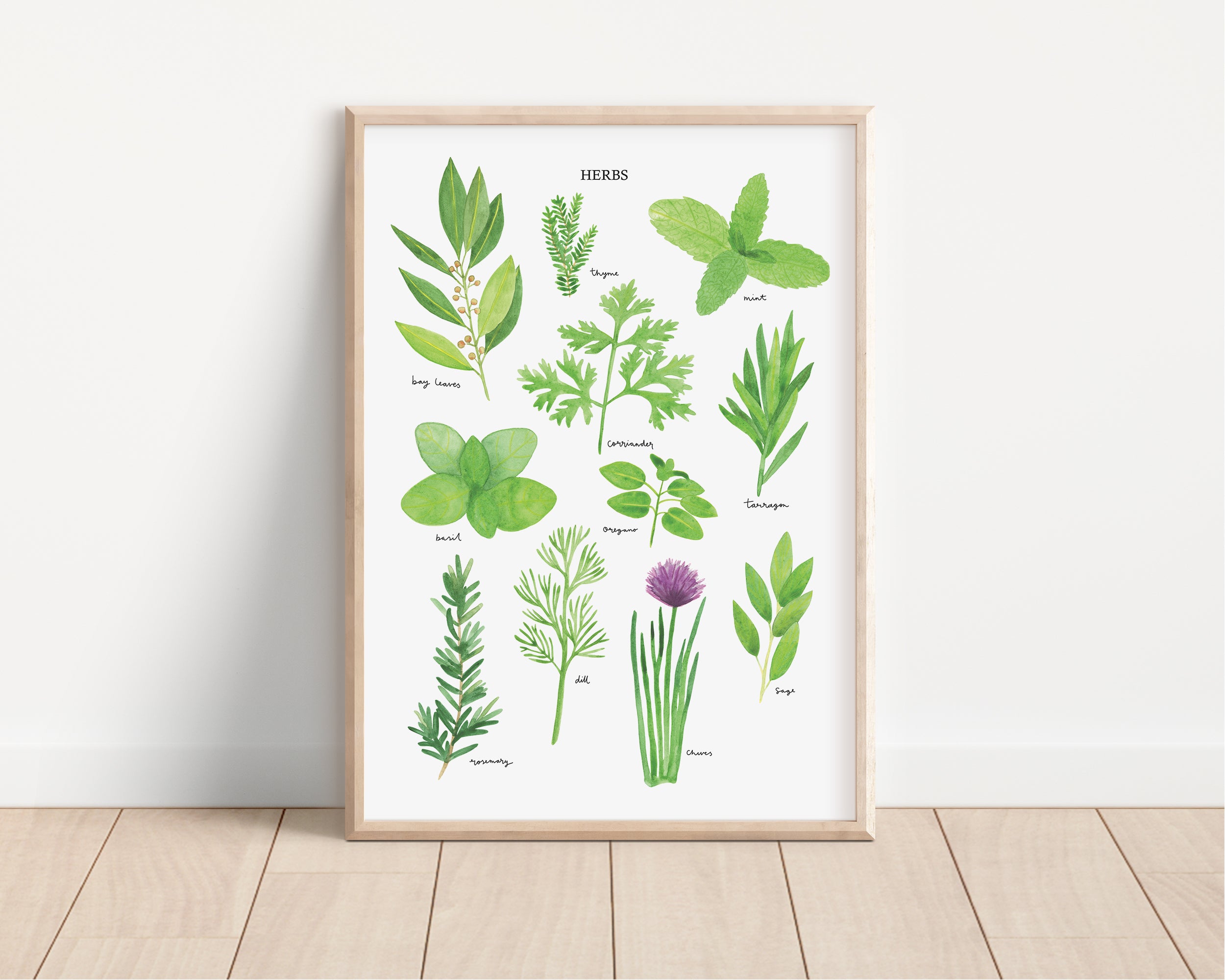 Herbs Art Print - Sarah Frances 