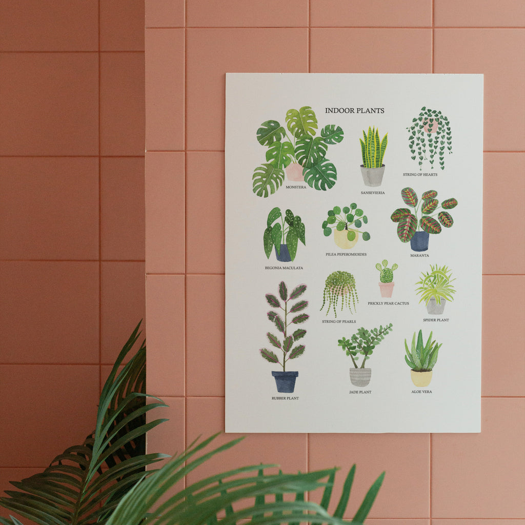 Indoor Plants Fine Art Print - Sarah Frances 