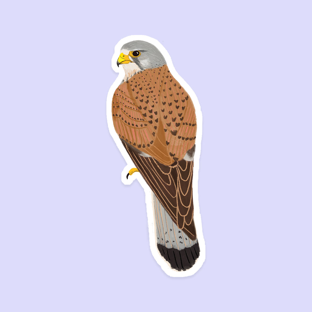 Kestrel Vinyl Sticker - Sarah Frances 