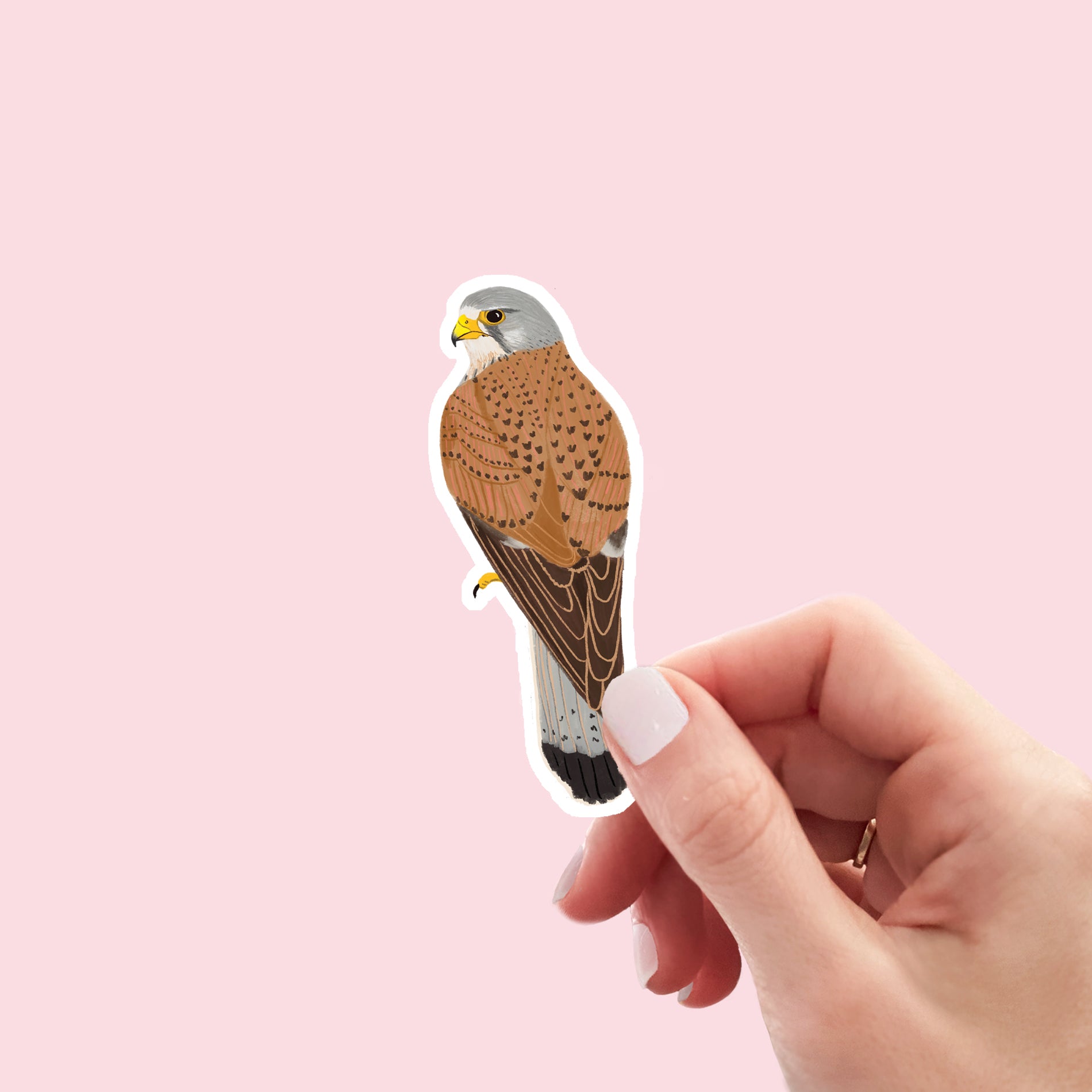 Kestrel Vinyl Sticker - Sarah Frances 
