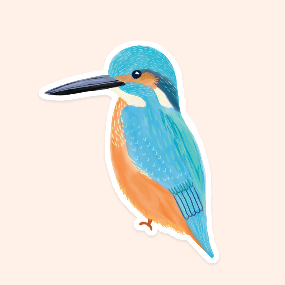 Kingfisher Vinyl Sticker - Sarah Frances 