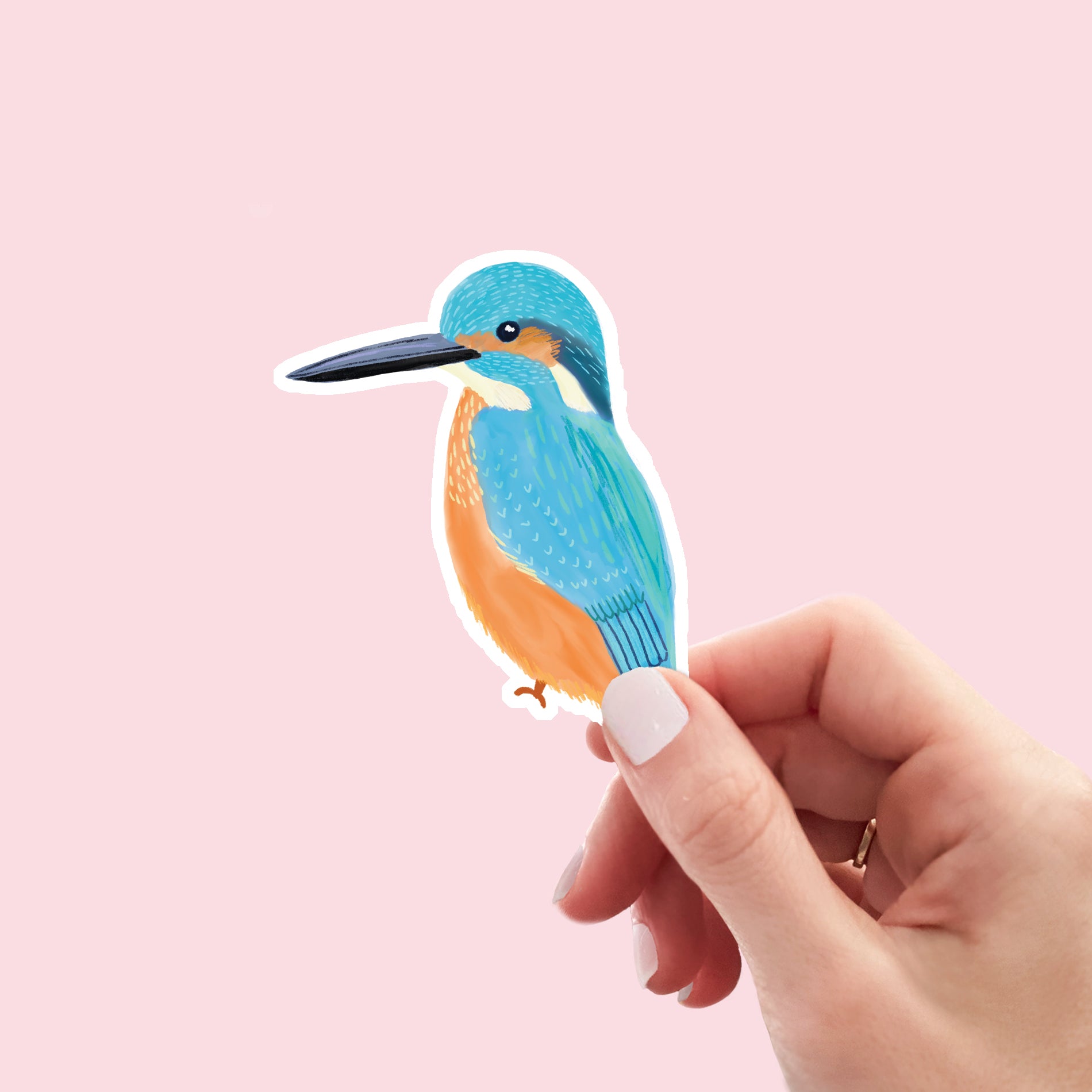 Kingfisher Vinyl Sticker - Sarah Frances 