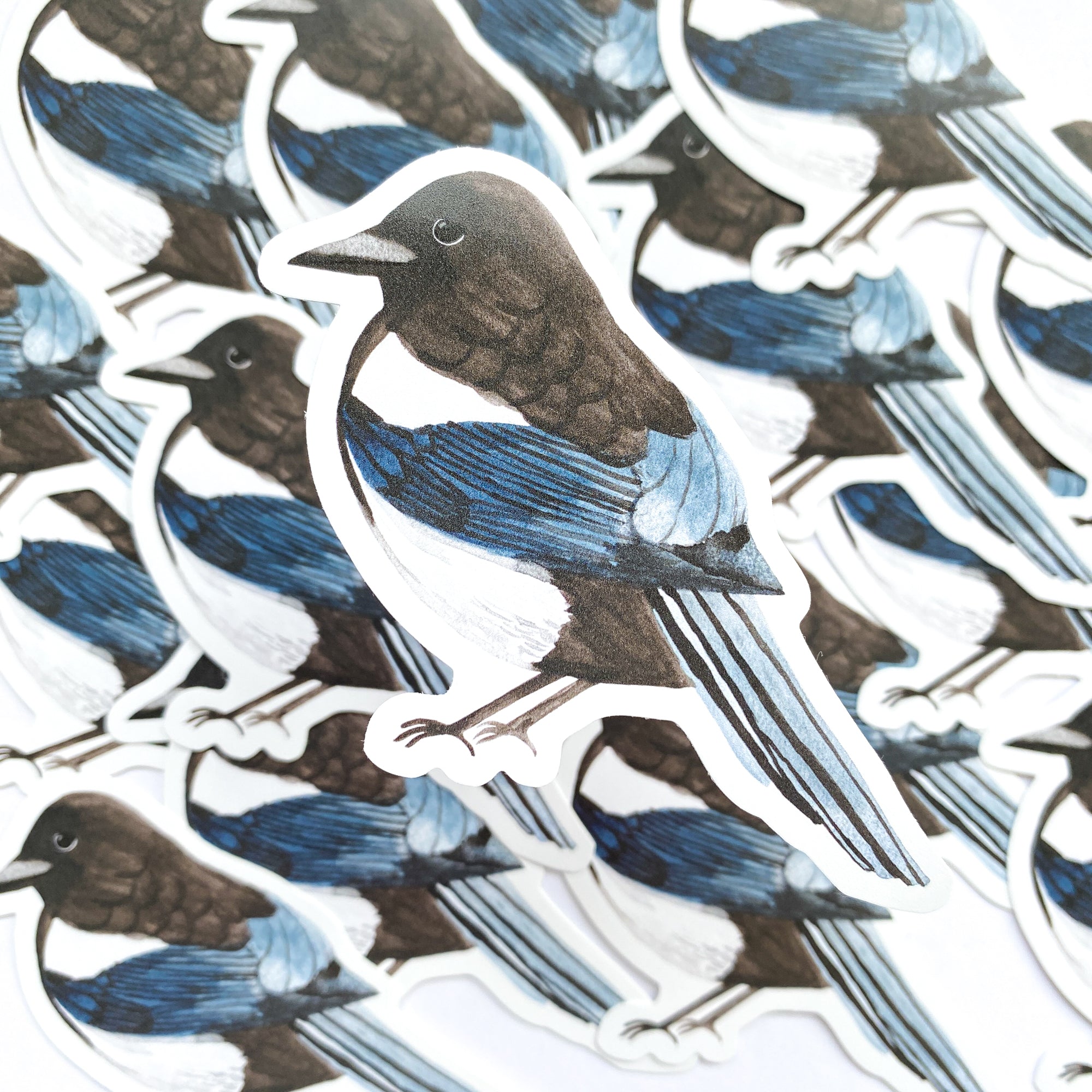 Magpie Vinyl Sticker - Sarah Frances 