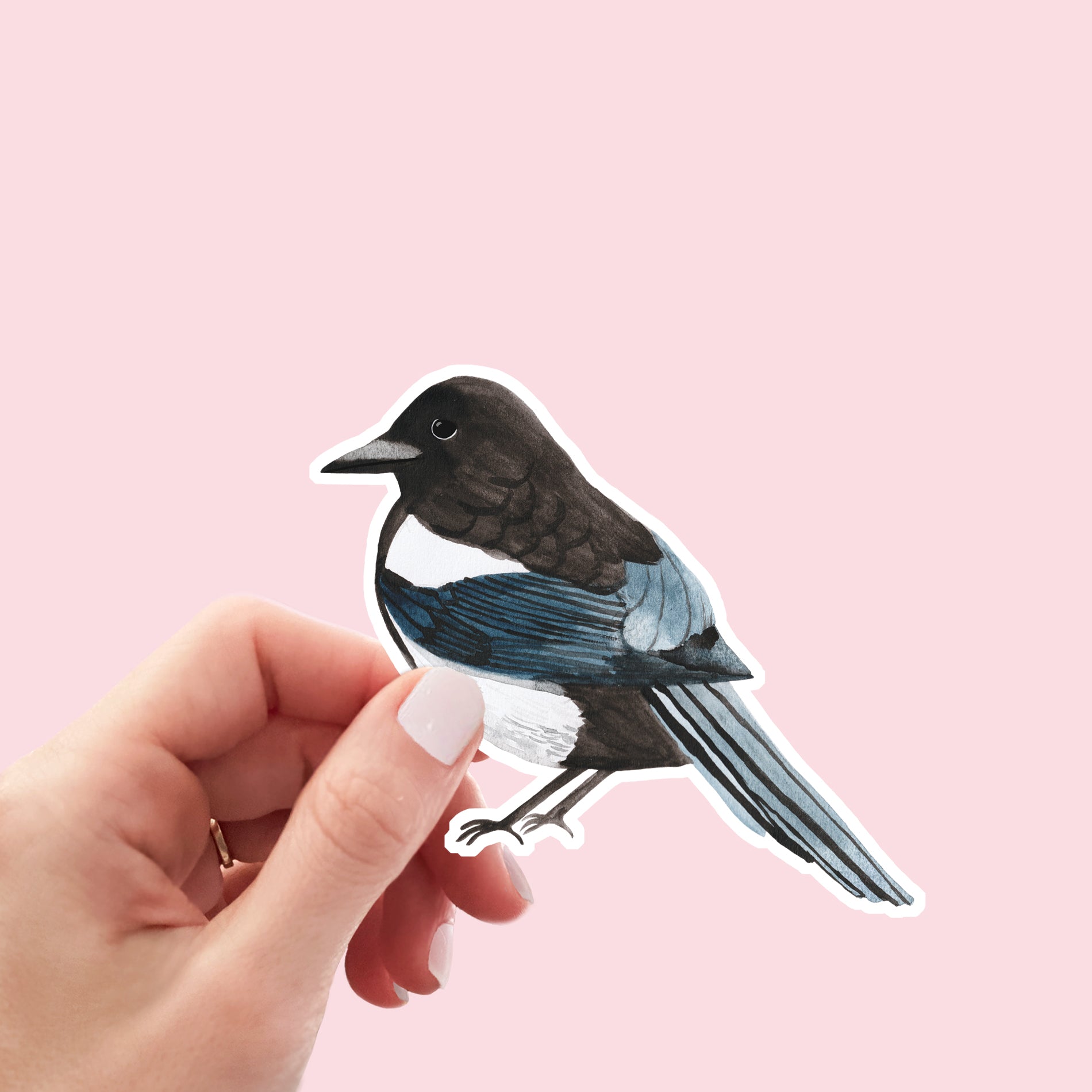 Magpie Vinyl Sticker - Sarah Frances 