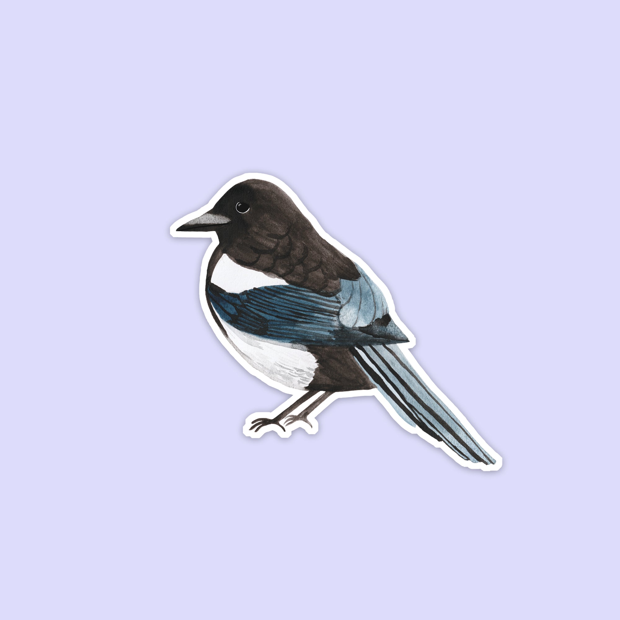 Magpie Vinyl Sticker - Sarah Frances 