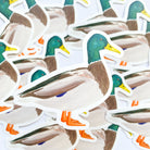 Mallard Duck Vinyl Sticker - Sarah Frances 