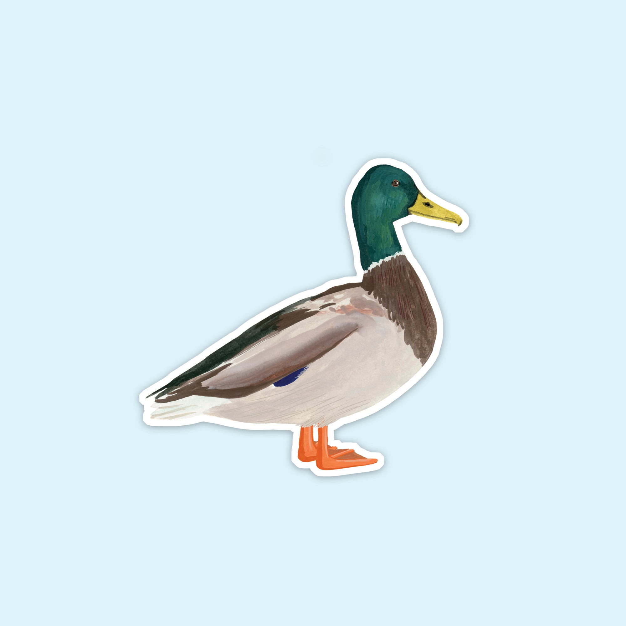 Mallard Duck Vinyl Sticker - Sarah Frances 