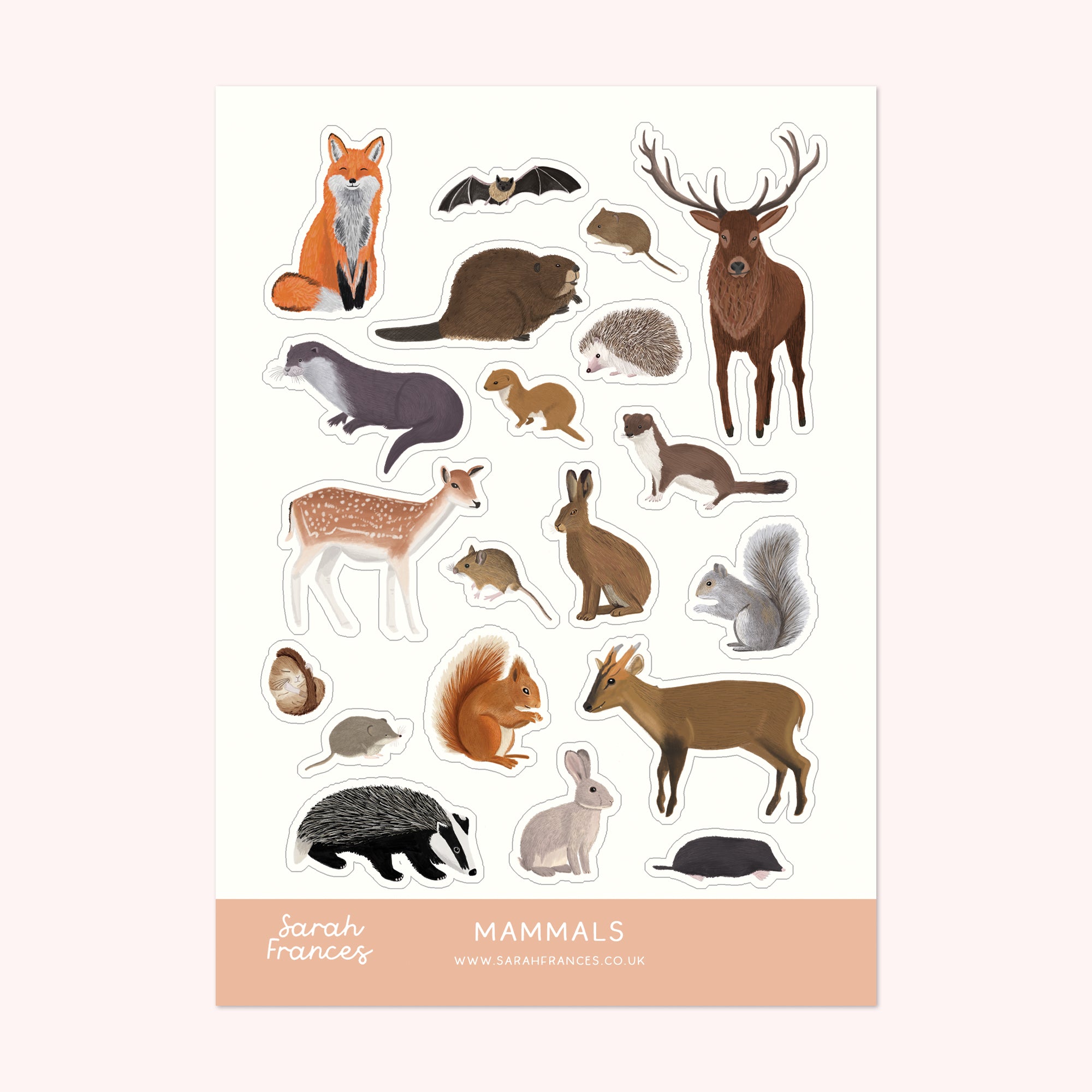 British Mammals Sticker Sheet - Sarah Frances 