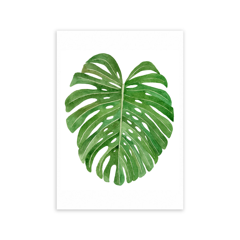Monstera Leaf Art Print - Sarah Frances 