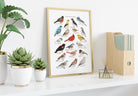 North American Birds Art Print - Sarah Frances 