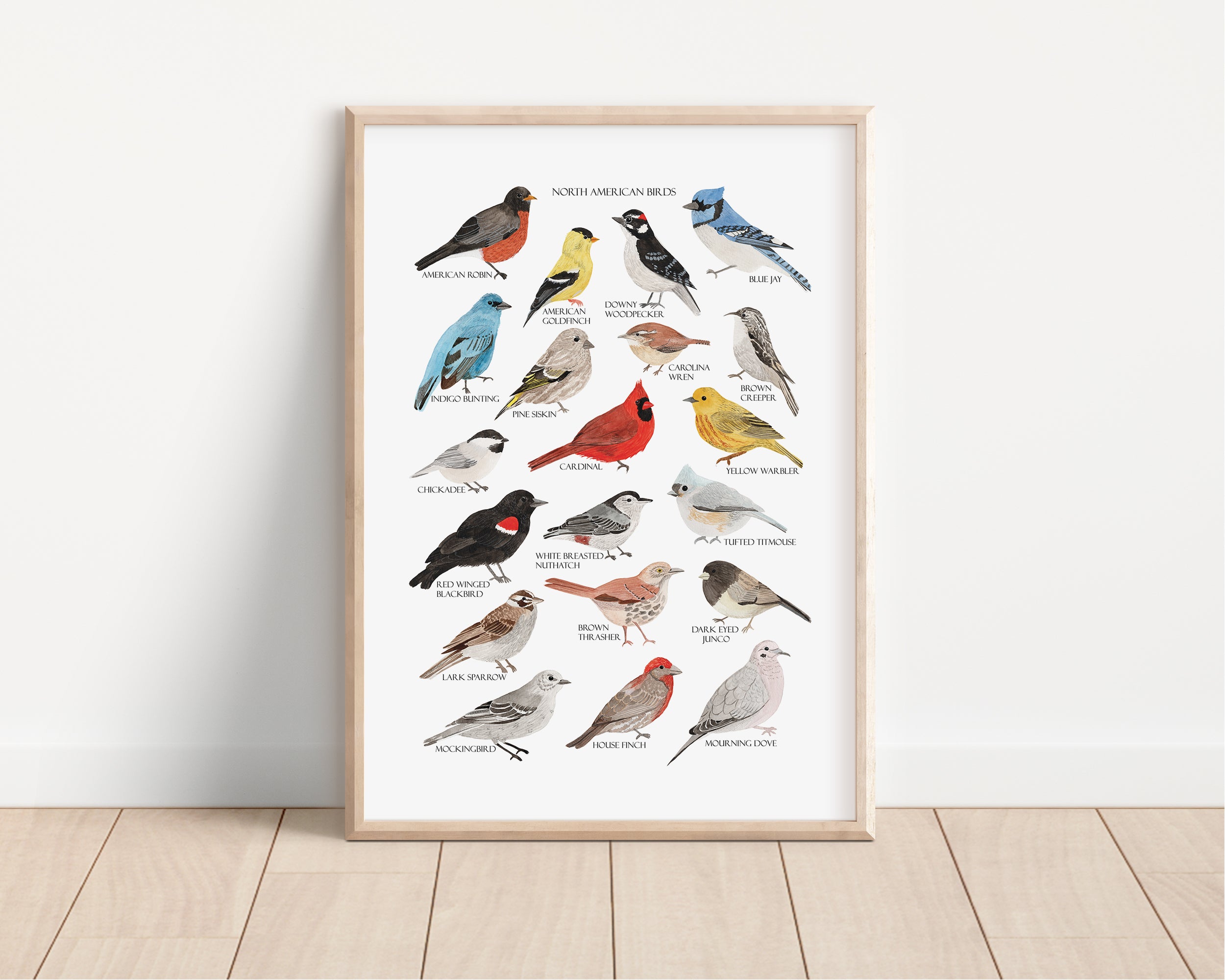 North American Birds Art Print - Sarah Frances 