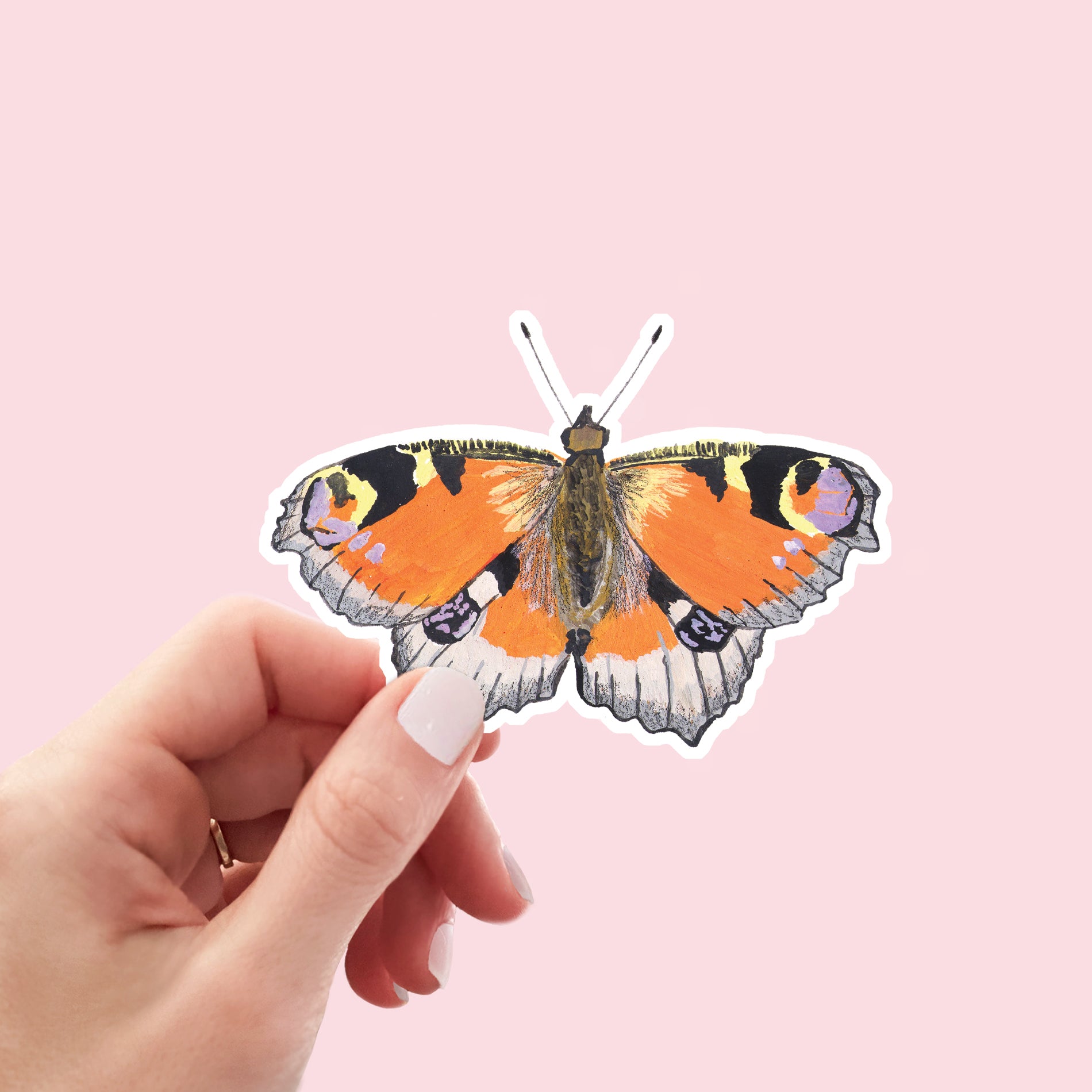 Peacock Butterfly Vinyl Sticker - Sarah Frances 