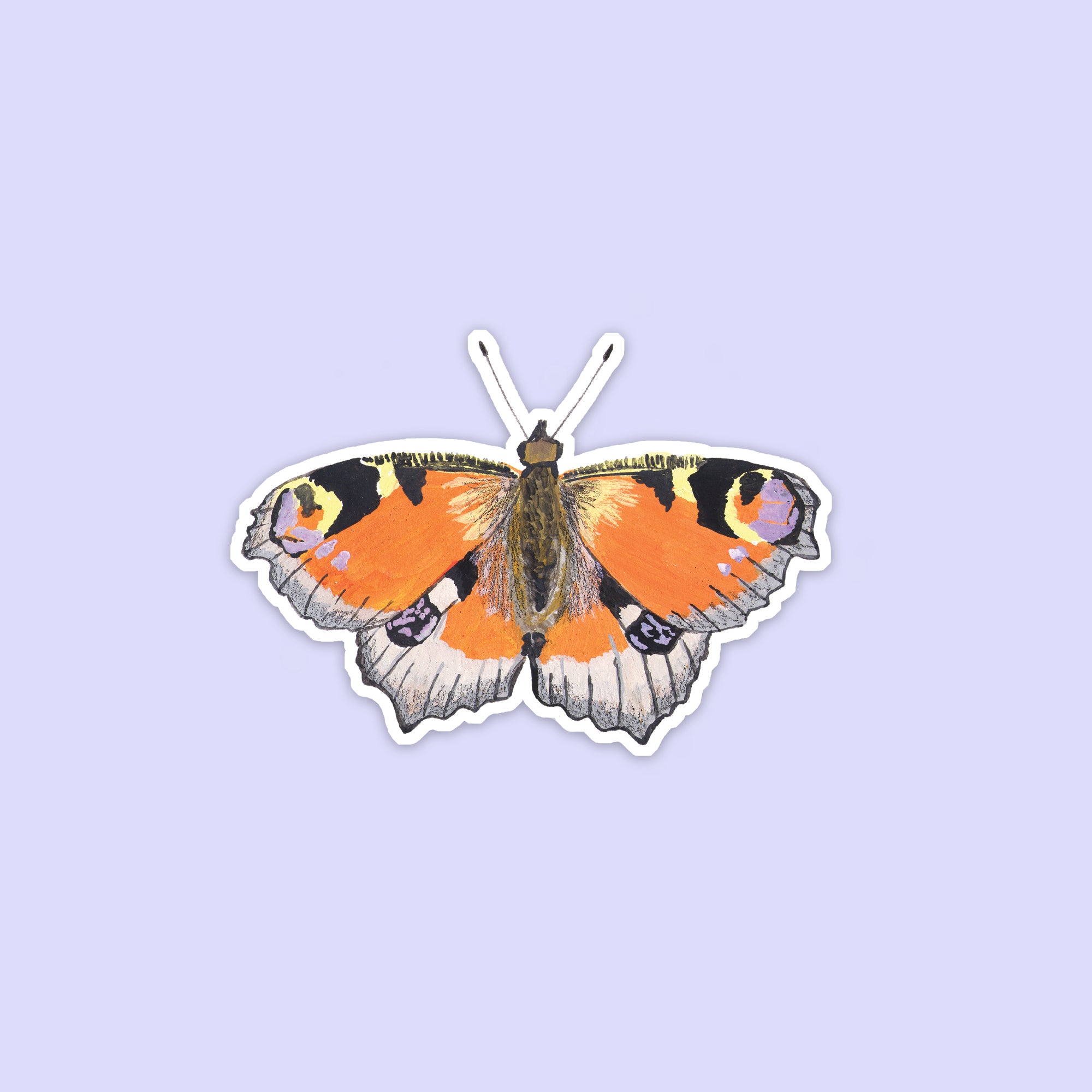 Peacock Butterfly Vinyl Sticker - Sarah Frances 
