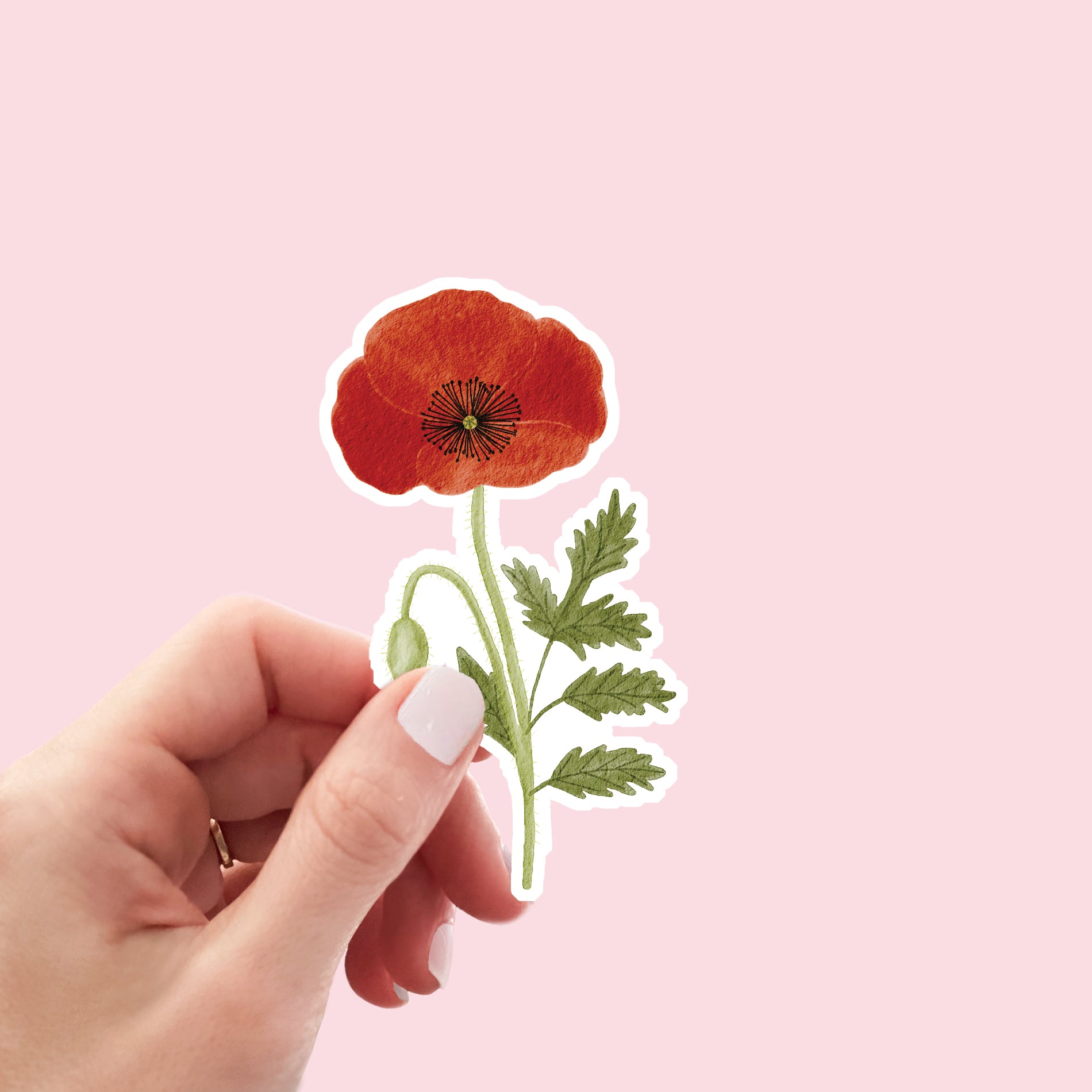 Poppy Vinyl Sticker - Sarah Frances 