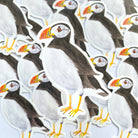Puffin Vinyl Sticker - Sarah Frances 