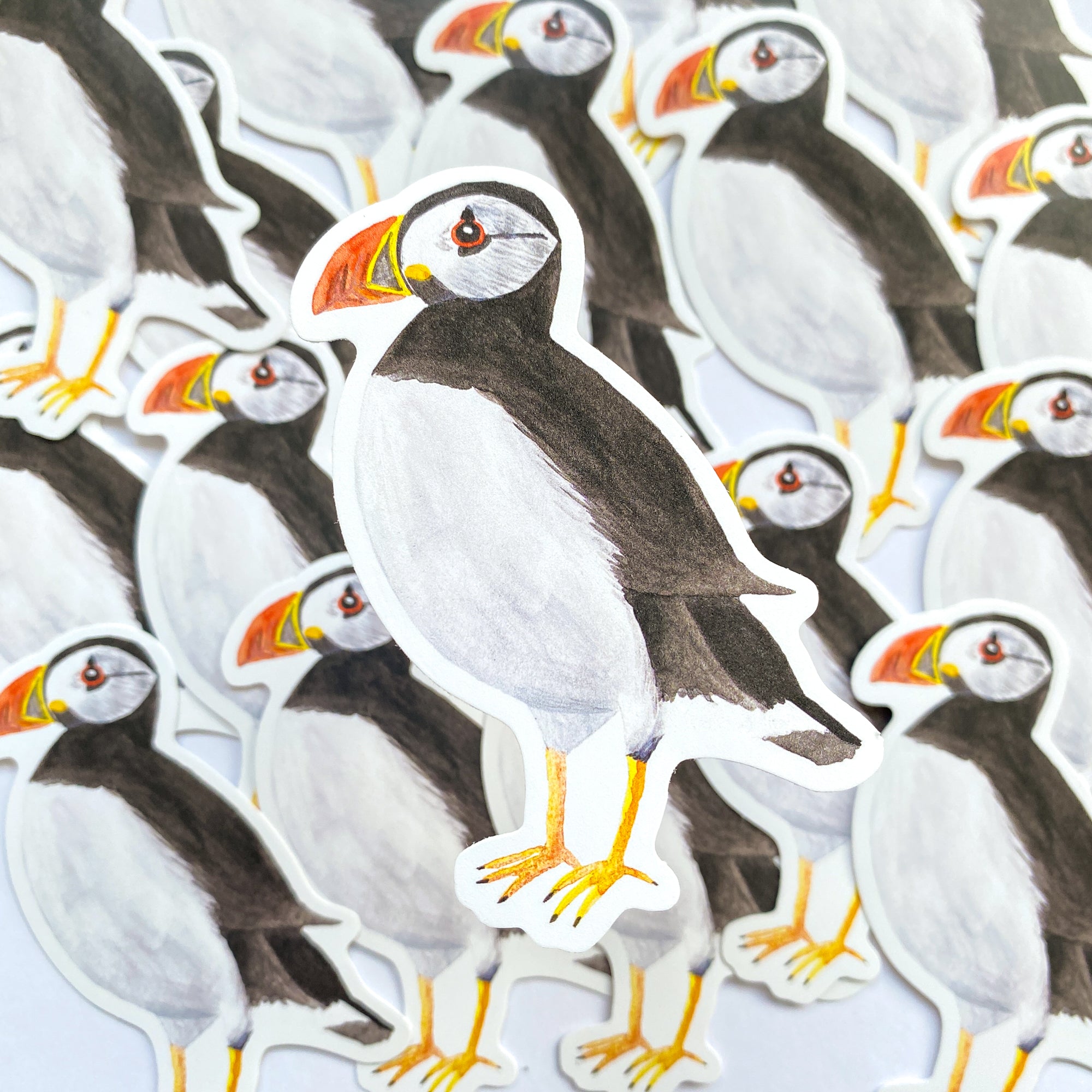 Puffin Vinyl Sticker - Sarah Frances 