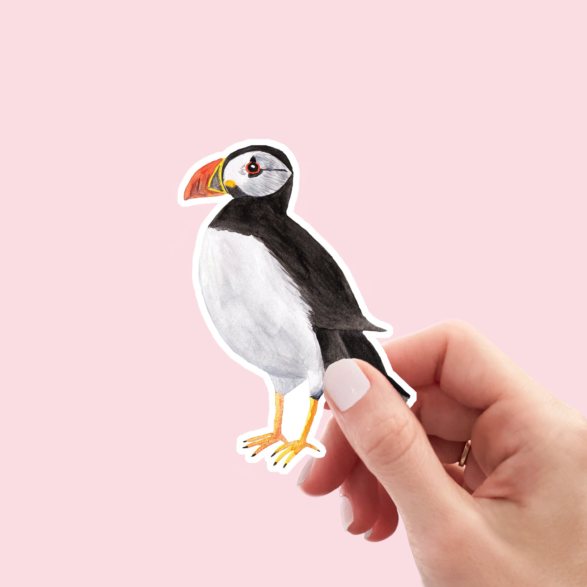Puffin Vinyl Sticker - Sarah Frances 
