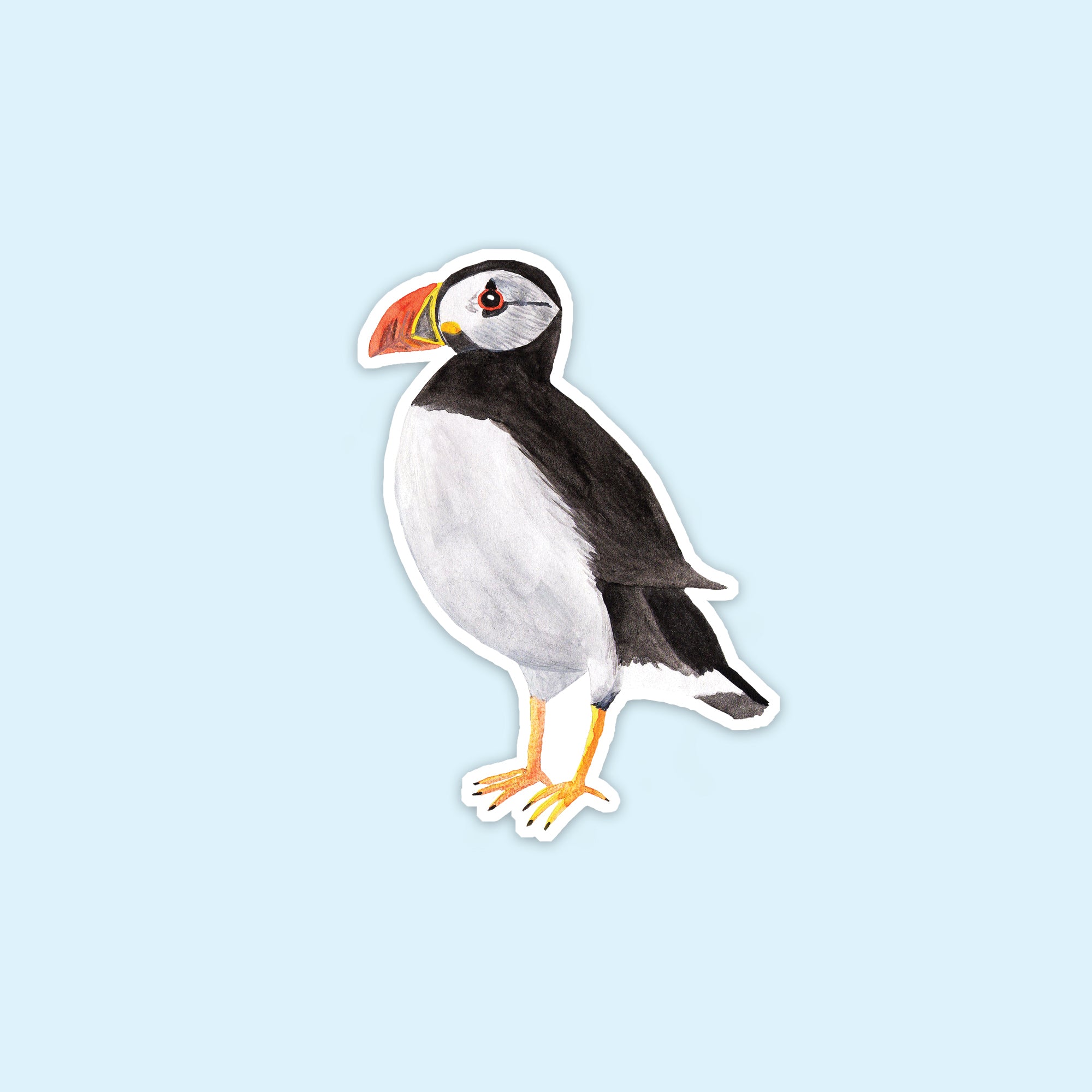 Puffin Vinyl Sticker - Sarah Frances 