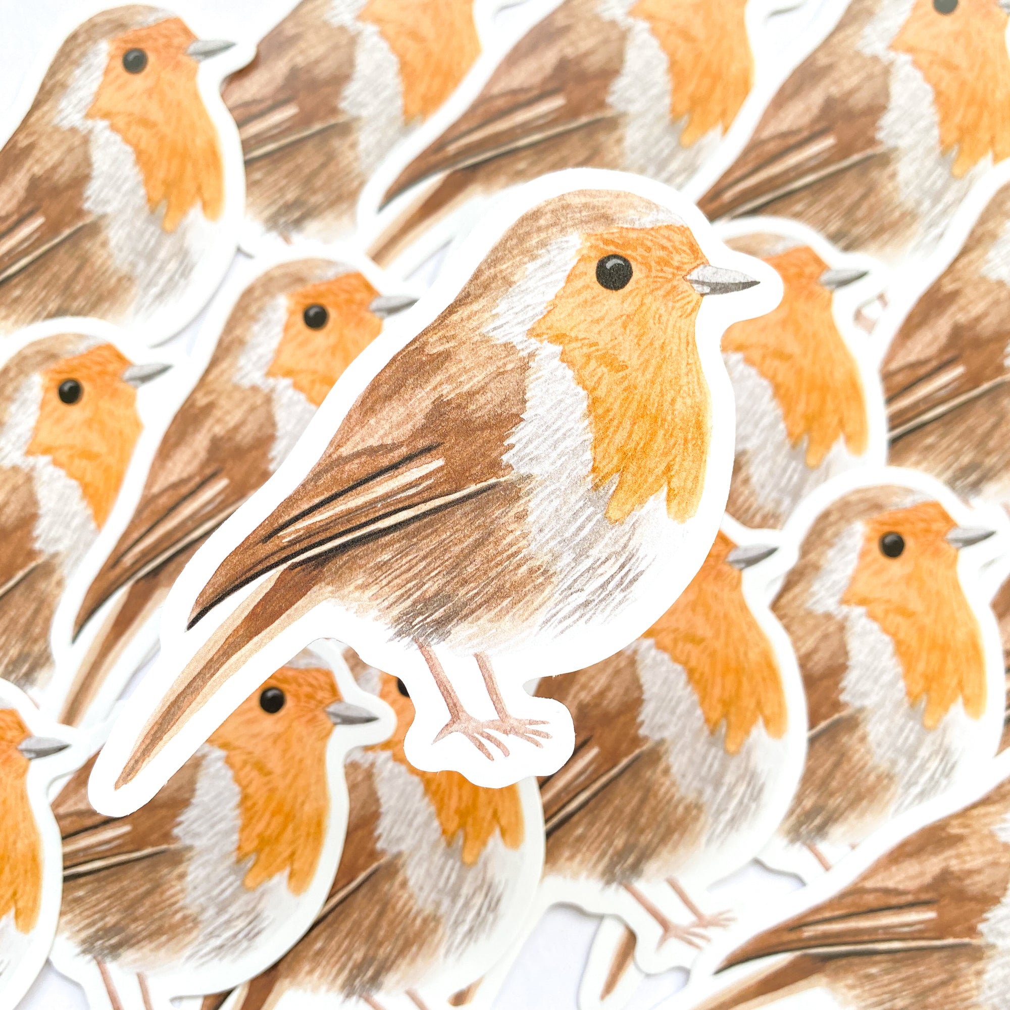Robin Vinyl Sticker - Sarah Frances 