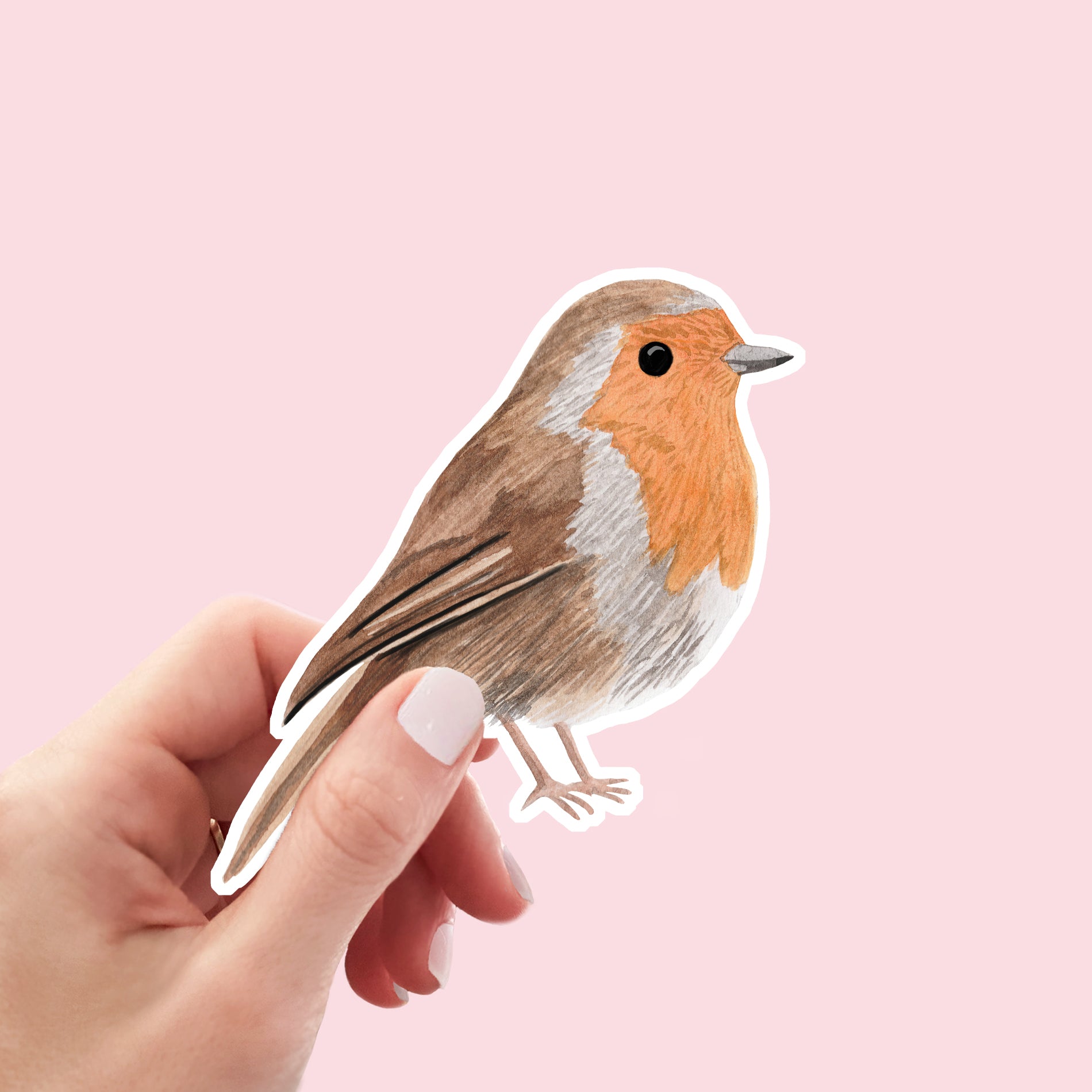 Robin Vinyl Sticker - Sarah Frances 