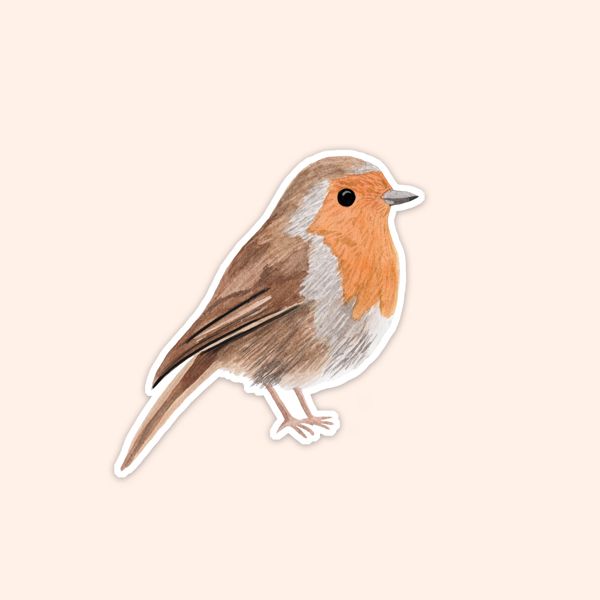 Robin Vinyl Sticker - Sarah Frances 