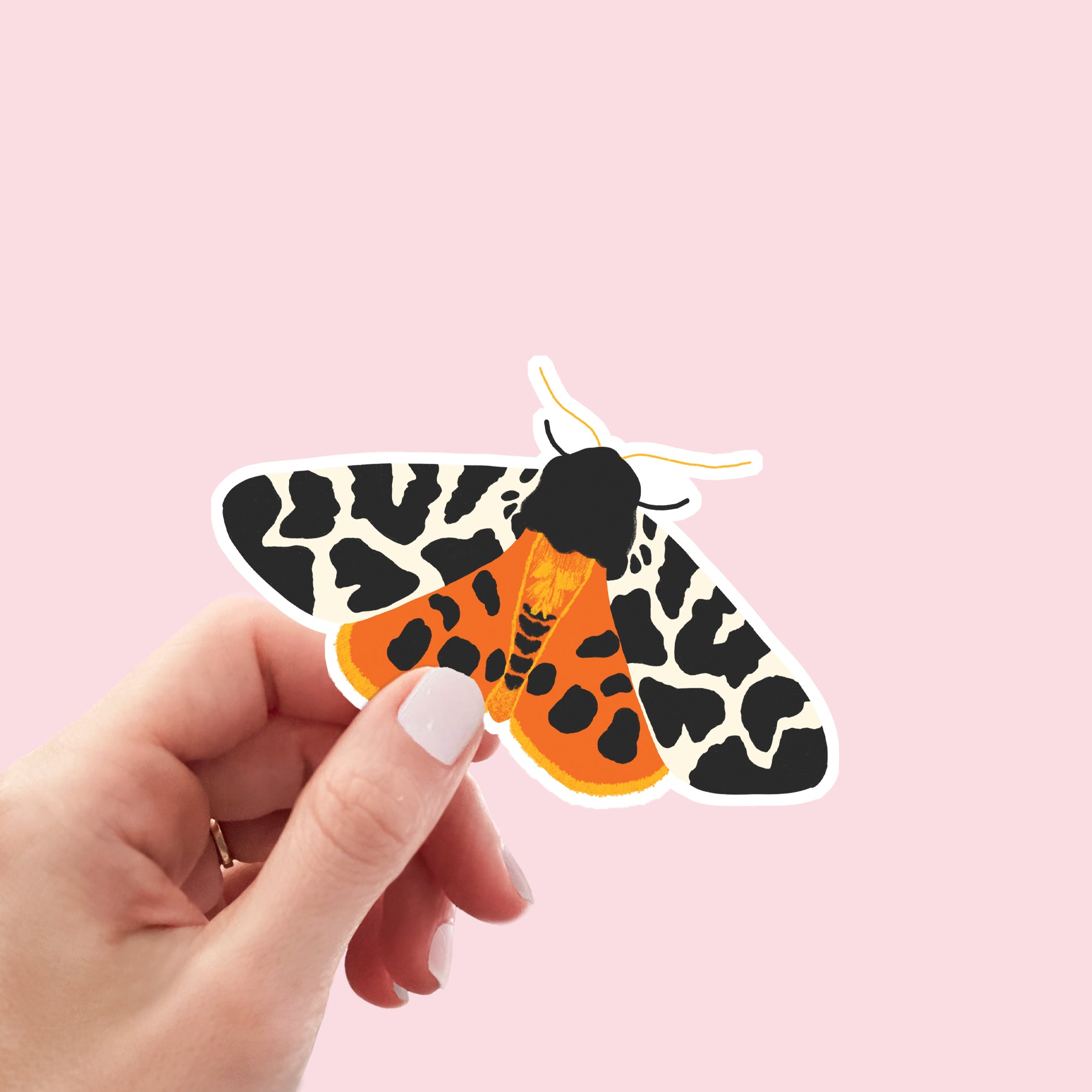 Tiger Moth Vinyl Sticker - Sarah Frances 