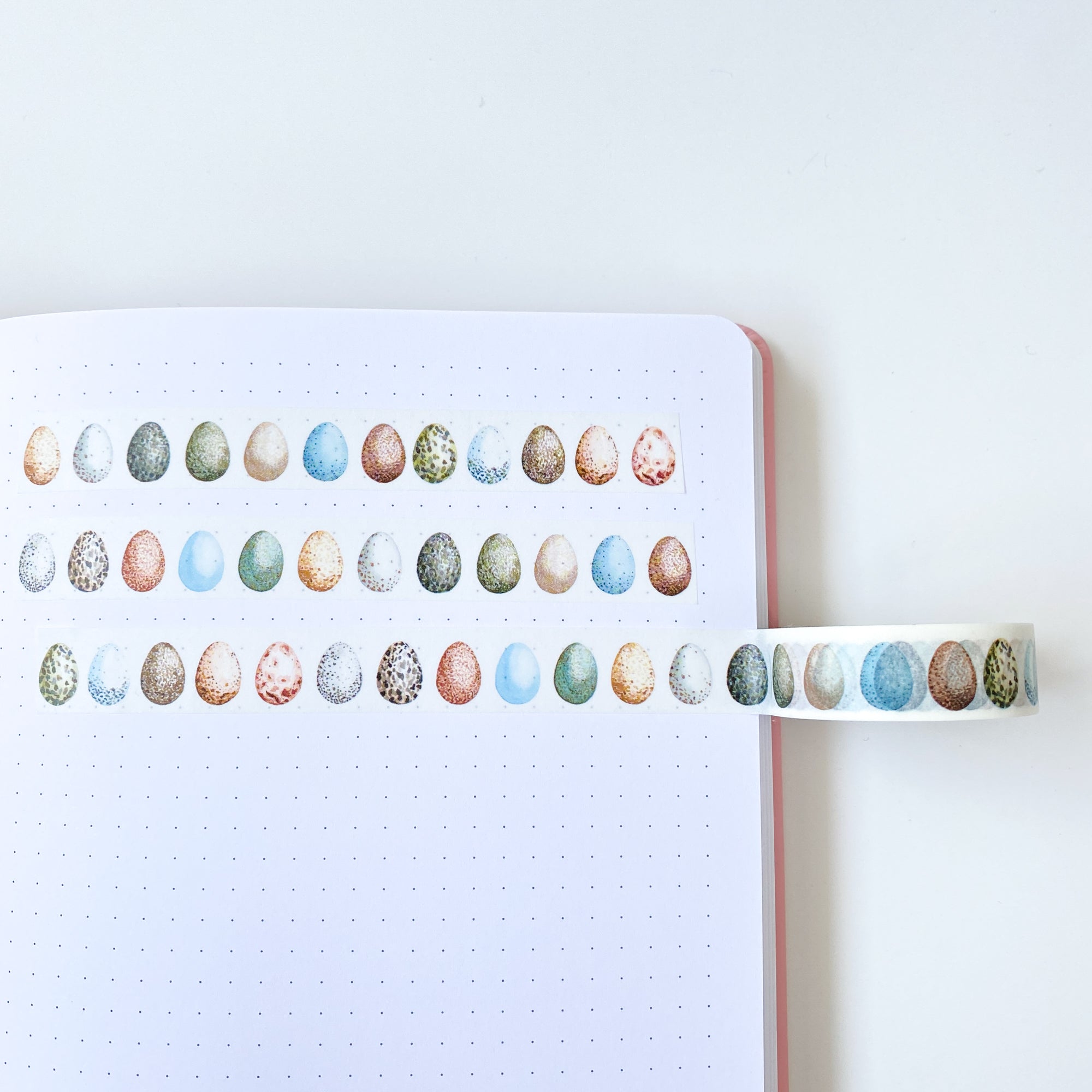 British Birds' Eggs Washi Tape - Sarah Frances 