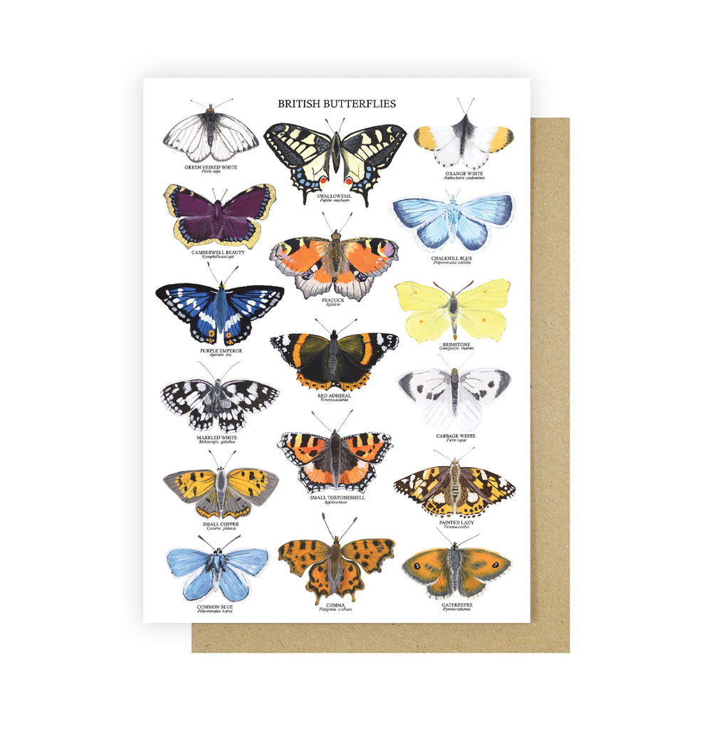 British Butterflies Greetings Card - Sarah Frances 