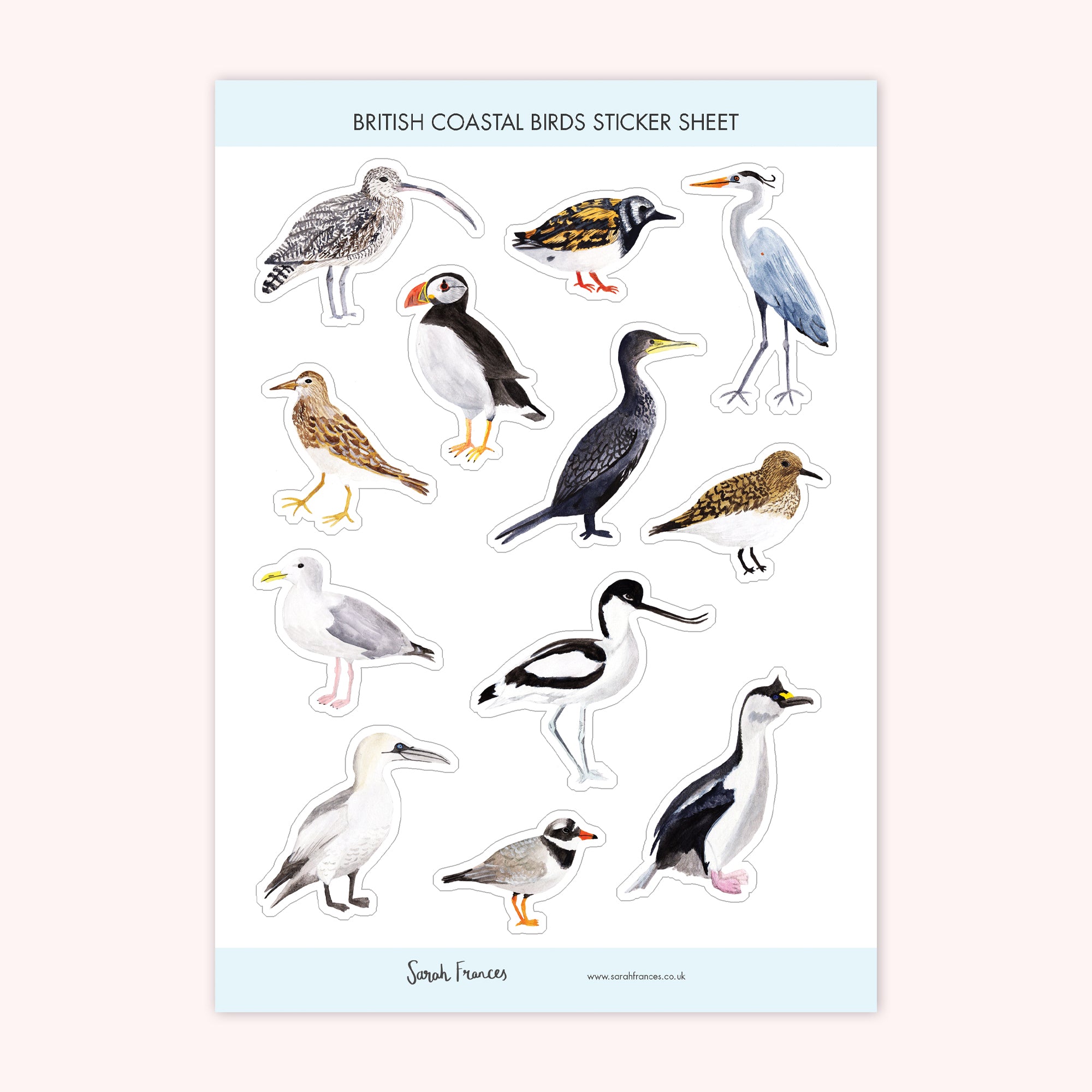 British Coastal Birds Stickers - Sarah Frances 