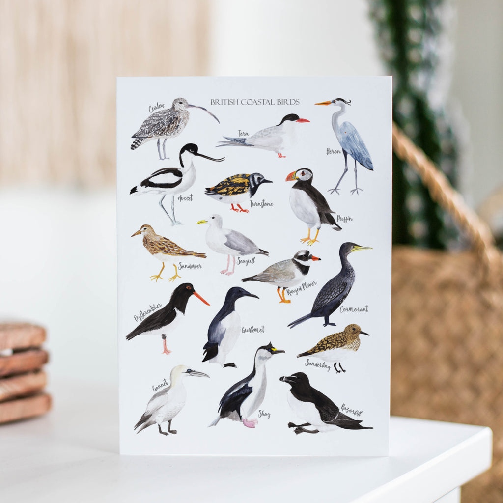 British Coastal Birds Greetings Card - Sarah Frances 
