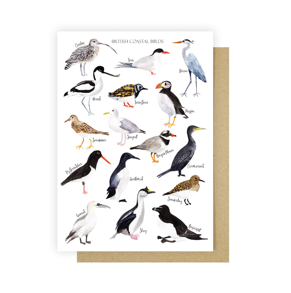 British Coastal Birds Greetings Card - Sarah Frances 