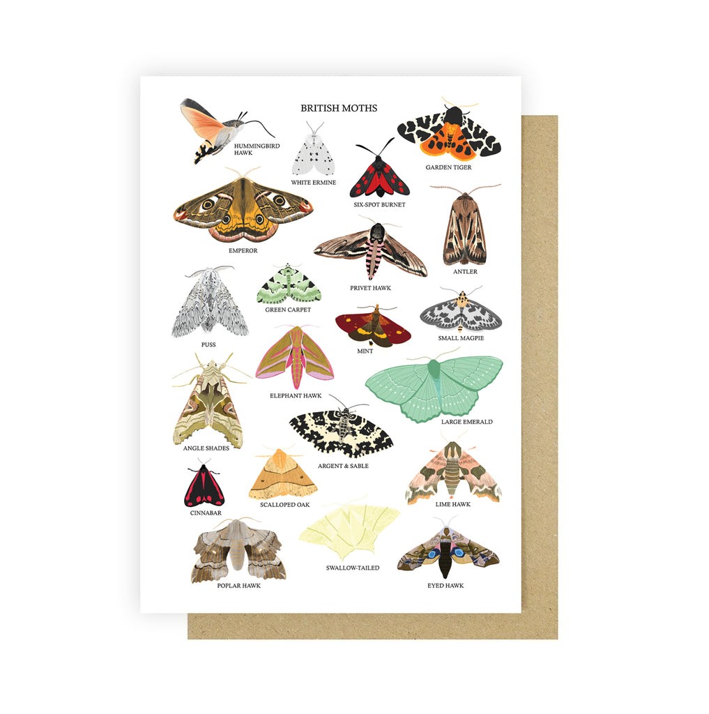 British Moths Greetings Card - Sarah Frances 
