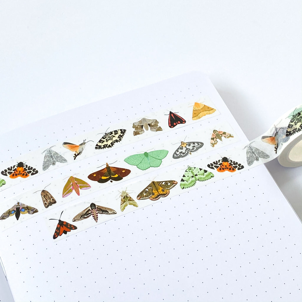 British Moths Washi Tape - Sarah Frances 