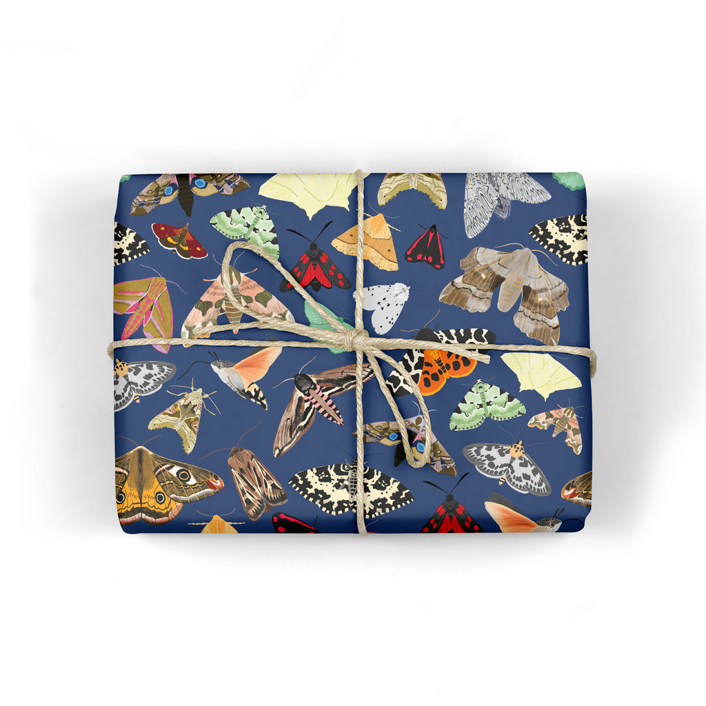 British Moths Wrapping Paper - Sarah Frances 