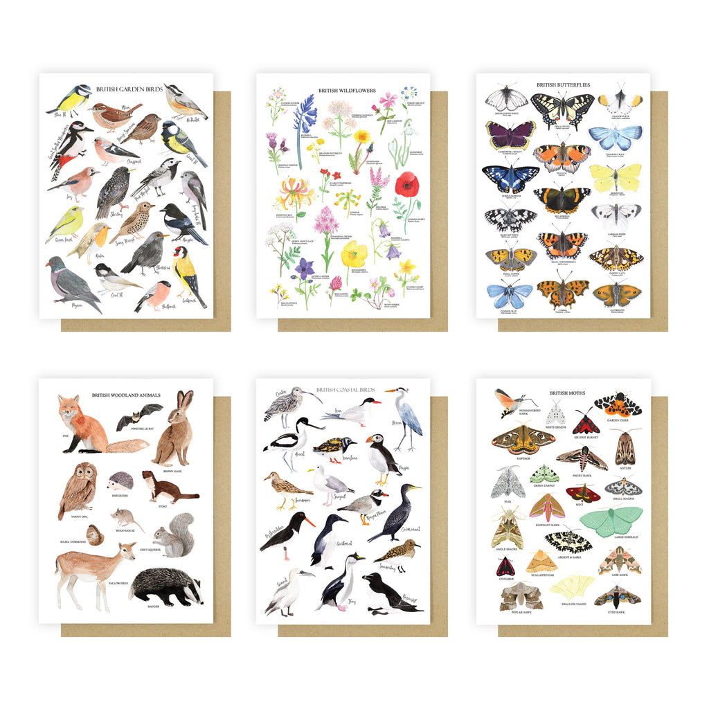 British Nature Greetings Card Pack - Sarah Frances 