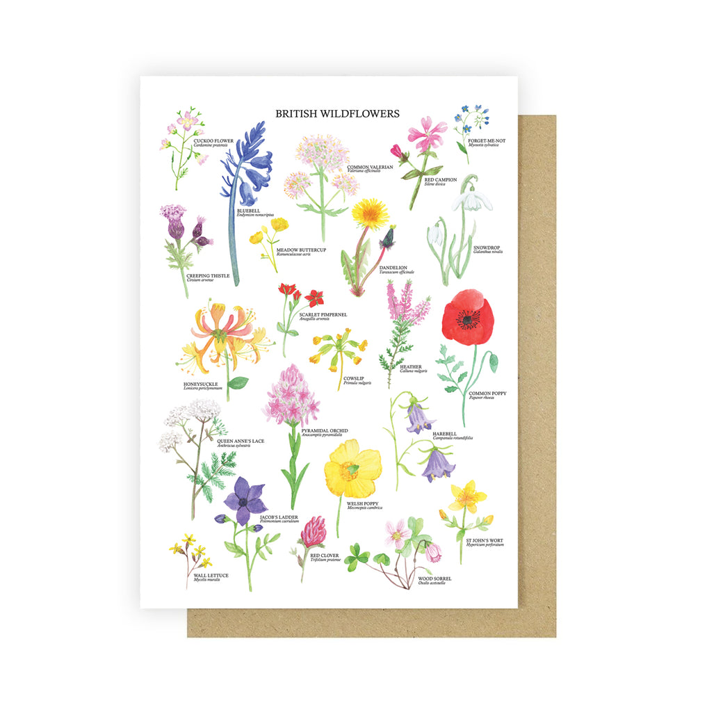 British Wildflowers Greetings Card - Sarah Frances 